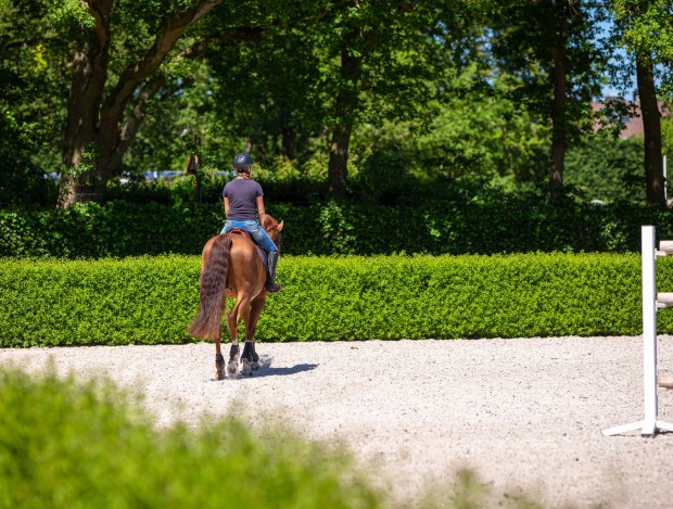 20210607_1517__MG_9505