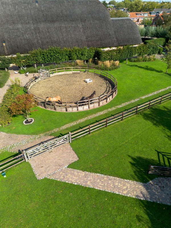 20230918_1156_DJI_0239