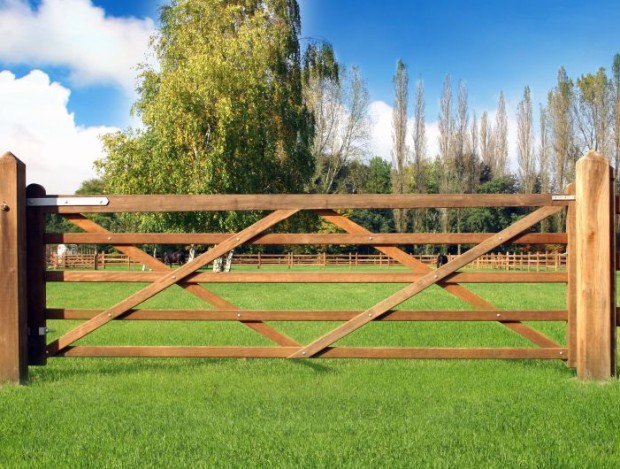 Field_Gate_14_OnlineUse