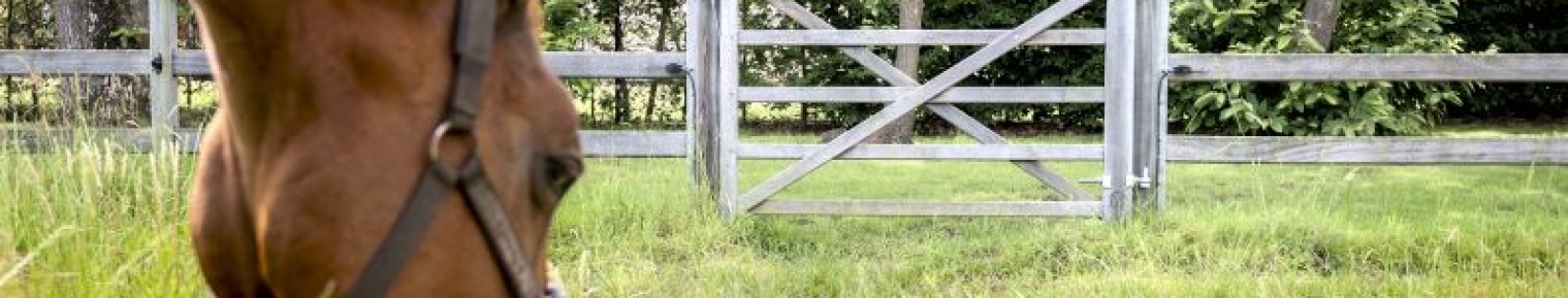 Field_Gate_53_NEW