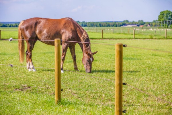 Hendriks Landscape Loo  (83)