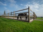 Hendriks Sporthorses 2018 (48)