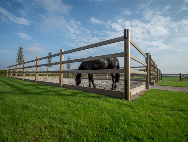Hendriks Sporthorses 2018 (48)