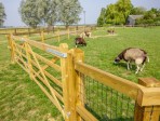 Oklahoma omheining_2 regels_14