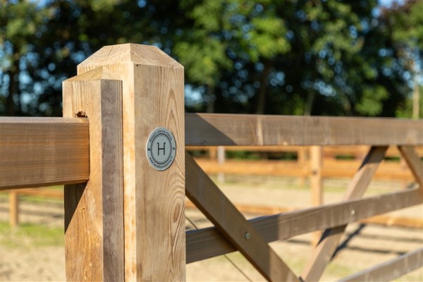 paardenomheining gemeente montferland (14)