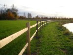 Windsor 2 regels (5)