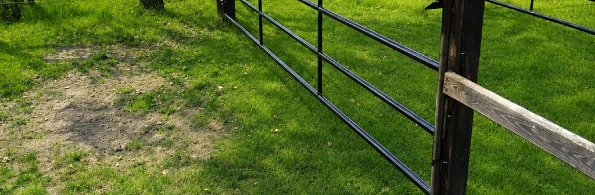 Zwart gepoedercoat 2_613807796